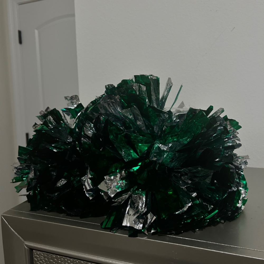 CheerLeader - Picture 2 of 3